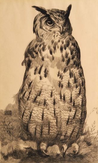 Paul JOUVE (1878-1973) - Great horned owl